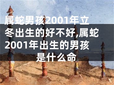 属蛇男孩2001年立冬出生的好不好,属蛇2001年出生的男孩是什么命