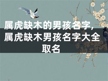 属虎缺木的男孩名字,属虎缺木男孩名字大全 取名