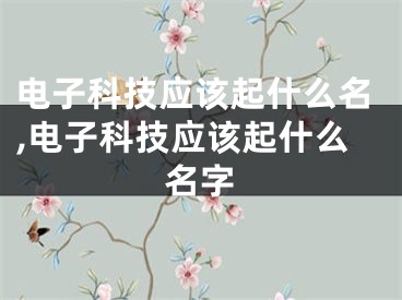 电子科技应该起什么名,电子科技应该起什么名字