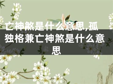亡神煞是什么意思,孤独格兼亡神煞是什么意思