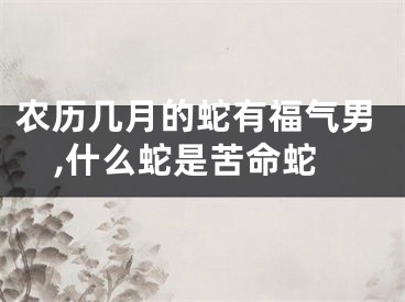 农历几月的蛇有福气男,什么蛇是苦命蛇