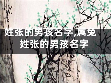姓张的男孩名字,属兔姓张的男孩名字