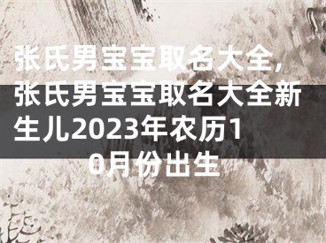 张氏男宝宝取名大全,张氏男宝宝取名大全新生儿2023年农历10月份出生