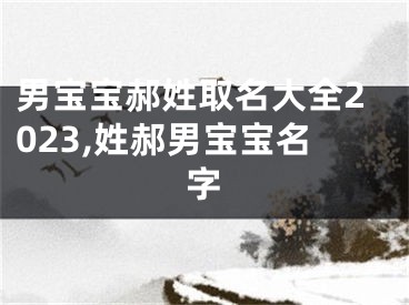 男宝宝郝姓取名大全2023,姓郝男宝宝名字