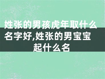 姓张的男孩虎年取什么名字好,姓张的男宝宝起什么名