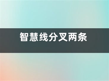 智慧线分叉两条