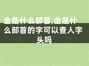 金是什么部首,金是什么部首的字可以查人字头吗