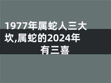 1977年属蛇人三大坎,属蛇的2024年有三喜