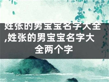 姓张的男宝宝名字大全,姓张的男宝宝名字大全两个字