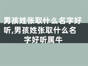 男孩姓张取什么名字好听,男孩姓张取什么名字好听属牛