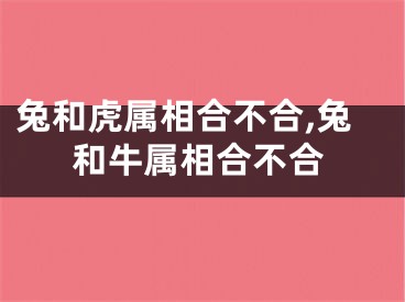 兔和虎属相合不合,兔和牛属相合不合