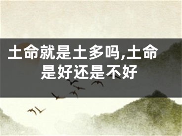 土命就是土多吗,土命是好还是不好