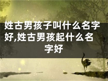 姓古男孩子叫什么名字好,姓古男孩起什么名字好