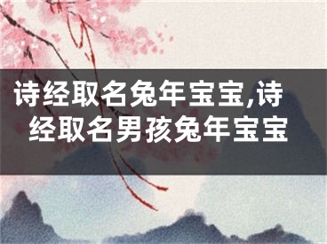 诗经取名兔年宝宝,诗经取名男孩兔年宝宝