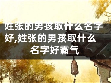 姓张的男孩取什么名字好,姓张的男孩取什么名字好霸气
