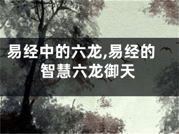 易经中的六龙,易经的智慧六龙御天