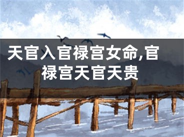 天官入官禄宫女命,官禄宫天官天贵