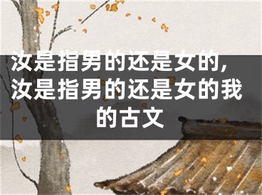 汝是指男的还是女的,汝是指男的还是女的我的古文