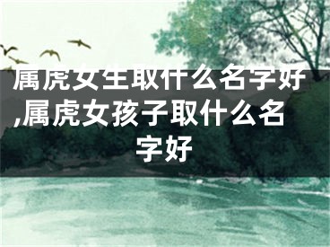 属虎女生取什么名字好,属虎女孩子取什么名字好