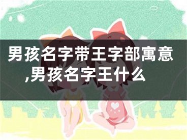 男孩名字带王字部寓意,男孩名字王什么