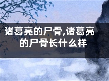 诸葛亮的尸骨,诸葛亮的尸骨长什么样