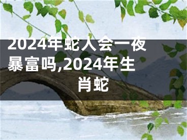 2024年蛇人会一夜暴富吗,2024年生肖蛇