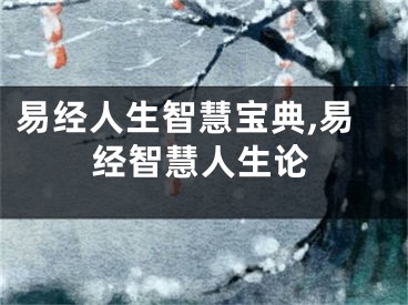 易经人生智慧宝典,易经智慧人生论
