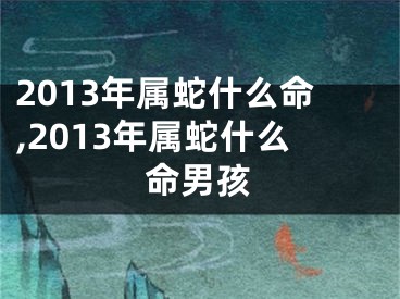 2013年属蛇什么命,2013年属蛇什么命男孩