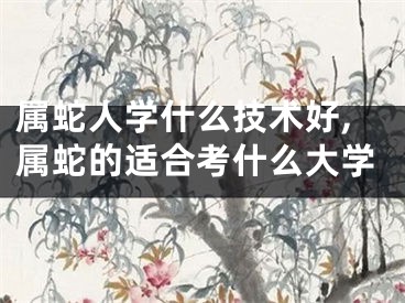 属蛇人学什么技术好,属蛇的适合考什么大学