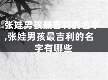张娃男孩最吉利的名字,张娃男孩最吉利的名字有哪些