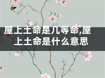 屋上土命是几等命,屋上土命是什么意思