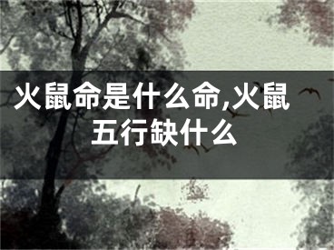 火鼠命是什么命,火鼠五行缺什么
