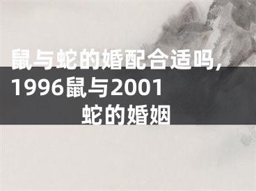 鼠与蛇的婚配合适吗,1996鼠与2001蛇的婚姻