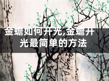 金蟾如何开光,金蟾开光最简单的方法