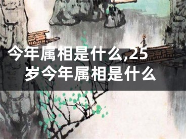 今年属相是什么,25岁今年属相是什么