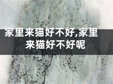 家里来猫好不好,家里来猫好不好呢