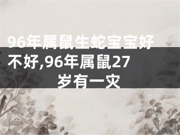96年属鼠生蛇宝宝好不好,96年属鼠27岁有一灾