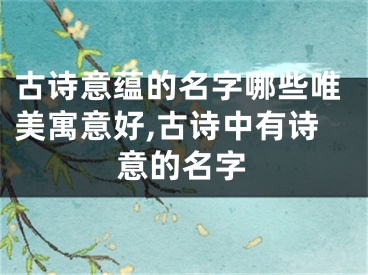 古诗意蕴的名字哪些唯美寓意好,古诗中有诗意的名字