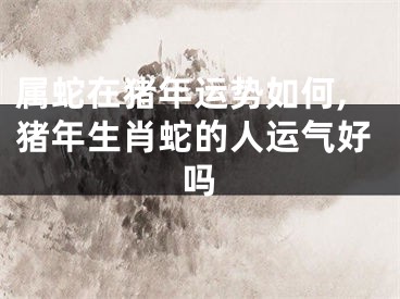 属蛇在猪年运势如何,猪年生肖蛇的人运气好吗
