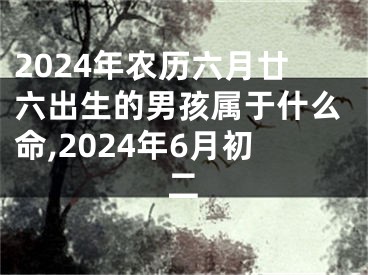 2024年农历六月廿六出生的男孩属于什么命,2024年6月初二