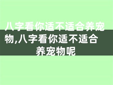 八字看你适不适合养宠物,八字看你适不适合养宠物呢