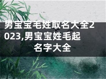 男宝宝毛姓取名大全2023,男宝宝姓毛起名字大全