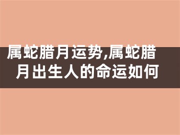 属蛇腊月运势,属蛇腊月出生人的命运如何