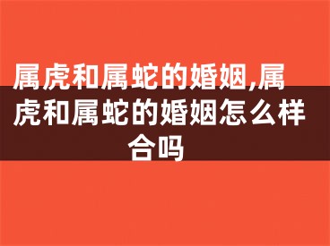 属虎和属蛇的婚姻,属虎和属蛇的婚姻怎么样 合吗