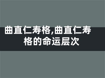 曲直仁寿格,曲直仁寿格的命运层次