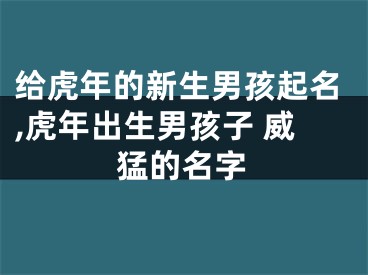 给虎年的新生男孩起名,虎年出生男孩子 威猛的名字