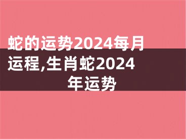 蛇的运势2024每月运程,生肖蛇2024年运势