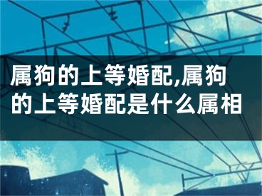 属狗的上等婚配,属狗的上等婚配是什么属相