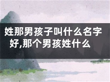 姓那男孩子叫什么名字好,那个男孩姓什么
