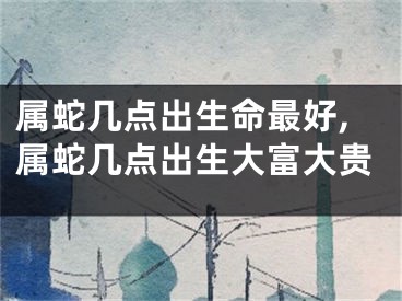 属蛇几点出生命最好,属蛇几点出生大富大贵